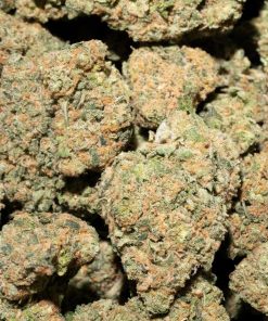 Durban Poison (AAA+)