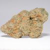 Durban Poison (AAA+)