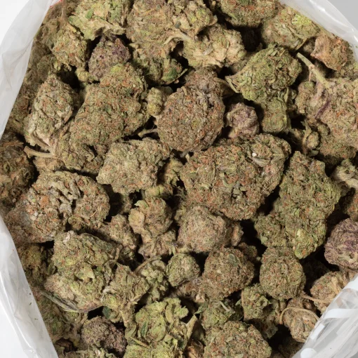 LSD (AAA)
