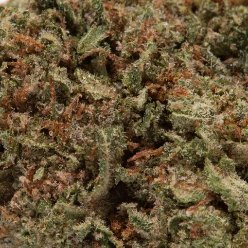 LSD (AAA)