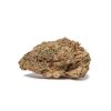 Night Nurse (AA)