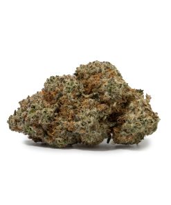 Bruce Banner (AAAA)