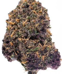 HUCKLEBERRY SODA Cannabis Strain