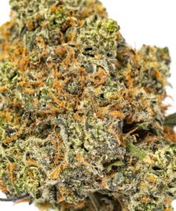 BISCOTTI Cannabis Strain