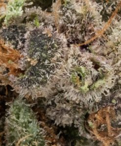 Strawberry Cough (AAAA)