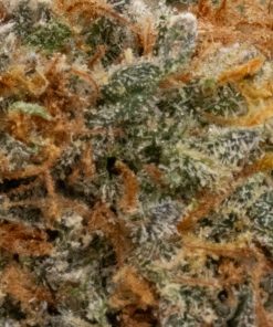 White Widow (AAA+)