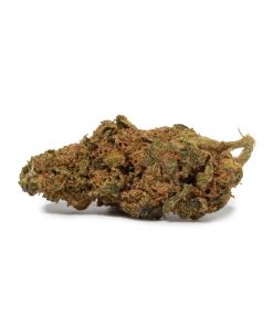 Headband (AA)