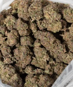 Strawberry Cough (AAAA)