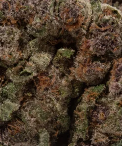 Strawberry Cough (AAAA)