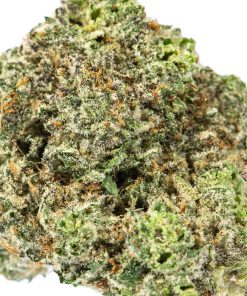 CHEMCHEM Cannabis Strain