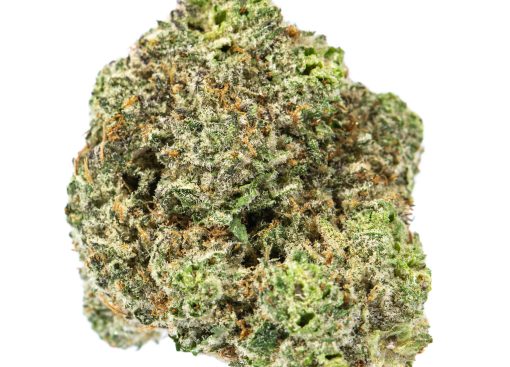 CHEMCHEM Cannabis Strain