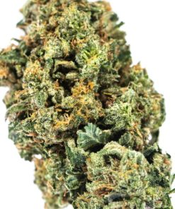 BUBBAFETT Cannabis Strain