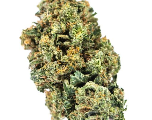 BUBBAFETT Cannabis Strain