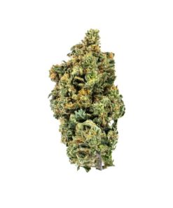 BUBBAFETT Weed Strain