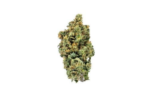 BUBBAFETT Weed Strain