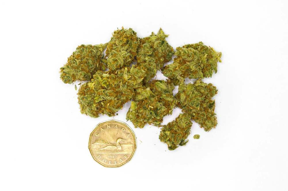 What do 5 Grams of Weed Look Like?