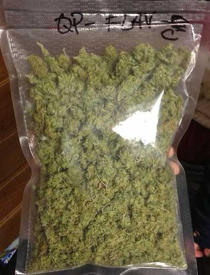 What Does Quarter Pound of Weed Look Like?