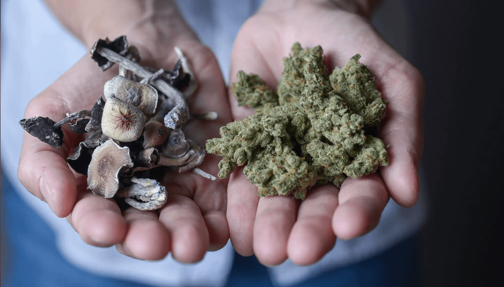 What's the Difference Between Smoking Cannabis and Magic Mushrooms