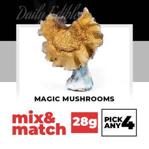 Magic Mushrooms (28G) – Mix & Match – Pick Any 4