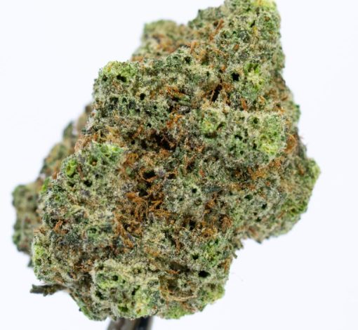 TRUFFLE BUTTER Cannabis Strain