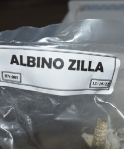 Albino Zilla Dried Shrooms