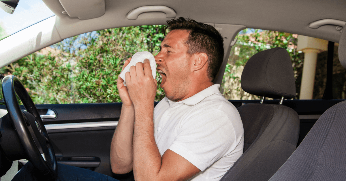 Can You Be Allergic to Weed? Daily Edibles