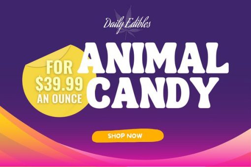 Animal Candy DE- Mobile