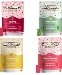 Grounded High Dose Bricks – 500mg Gummy