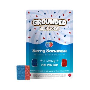 Grounded High Dose Bricks – Berry Bonanza 2000mg Gummies
