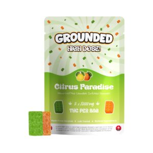 Grounded High Dose Bricks – Citrus Paradise 2000mg Gummies