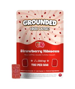 Grounded High Dose Bricks – Strawberry Hibiscus 1000mg Gummy