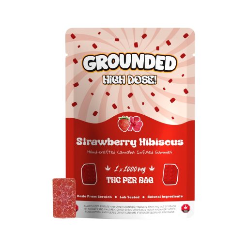 Grounded High Dose Bricks – Strawberry Hibiscus 1000mg Gummy