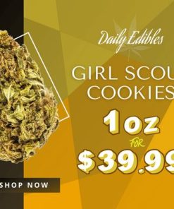 Girl Scout Cookies DE Mobile