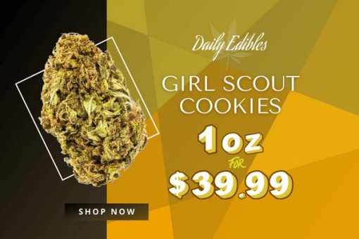 Girl Scout Cookies DE Mobile