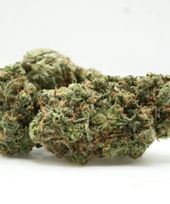 Headband (AAA)