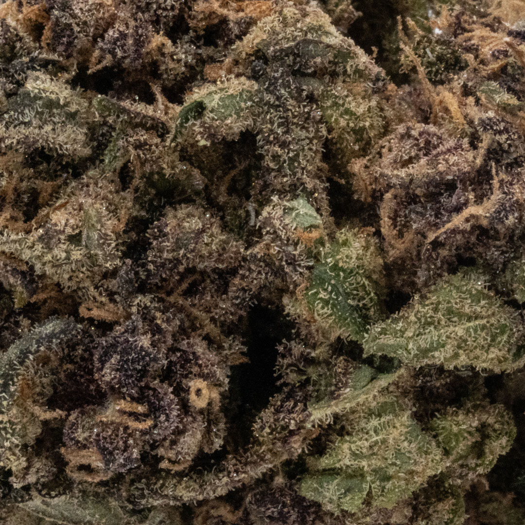 Dynamite (AA+)