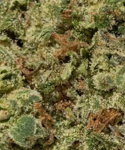 Sage & Sour (AA+)