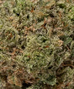 Sage & Sour (AA+)