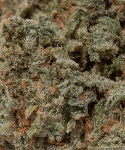 Strawberry Lemonade (AAA+)