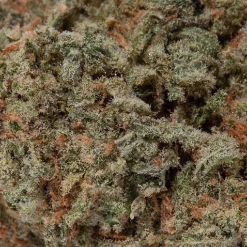 Strawberry Lemonade (AAA+)