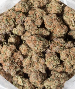 Triangle Kush (AAA+)