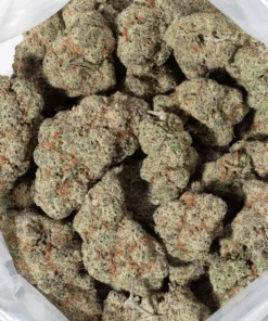 Mac #10 (AAAAA/Craft)