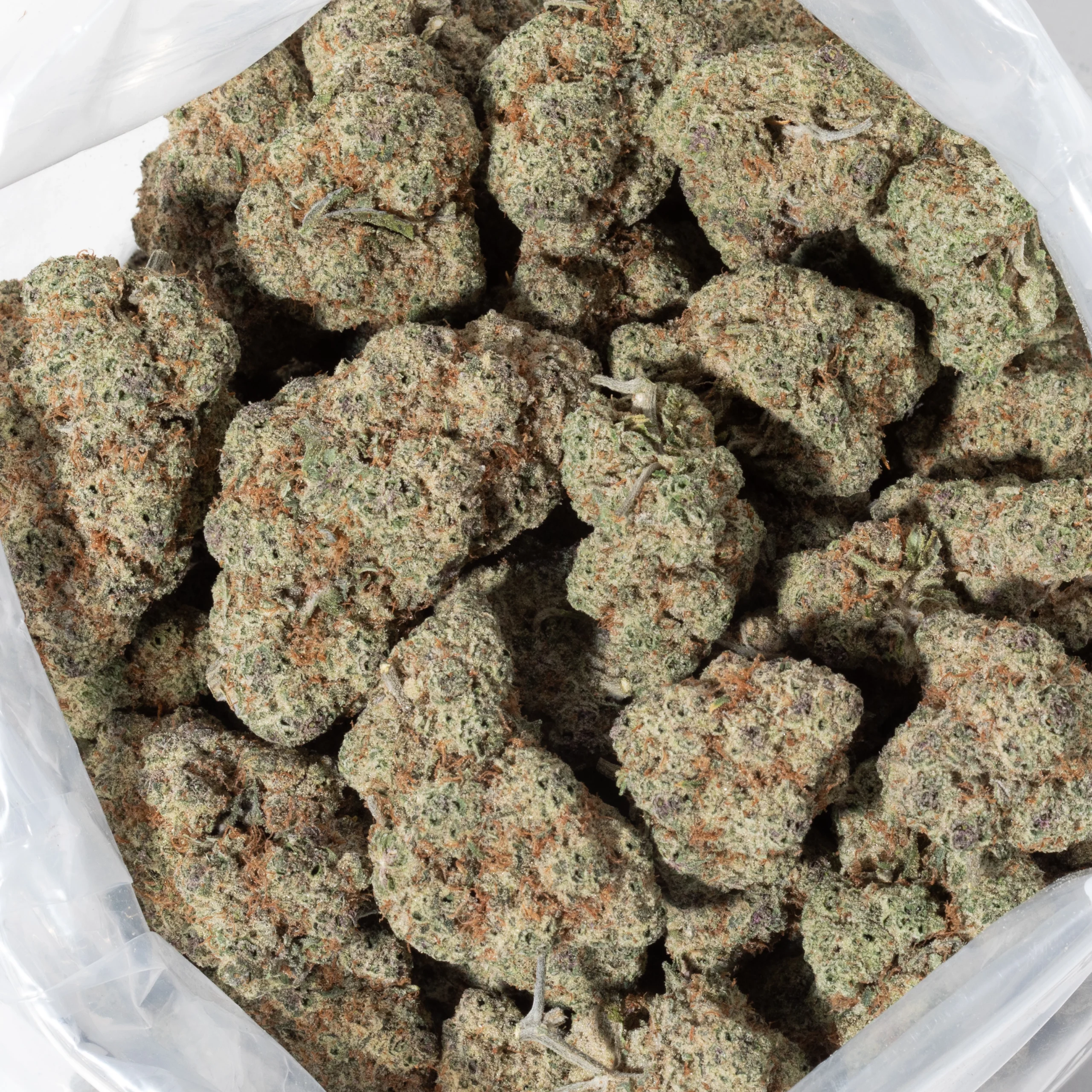 Mac #10 (AAAAA/Craft)