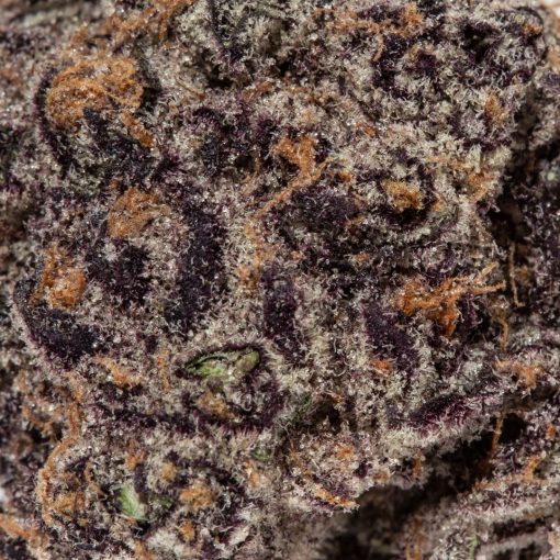 Purple Gelato (AAAAA/Craft)