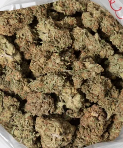 Sundae Driver (AAA)