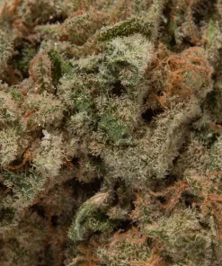 Sundae Driver (AAA)