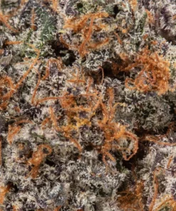 Blackberry Cream (AAAA Popcorn)