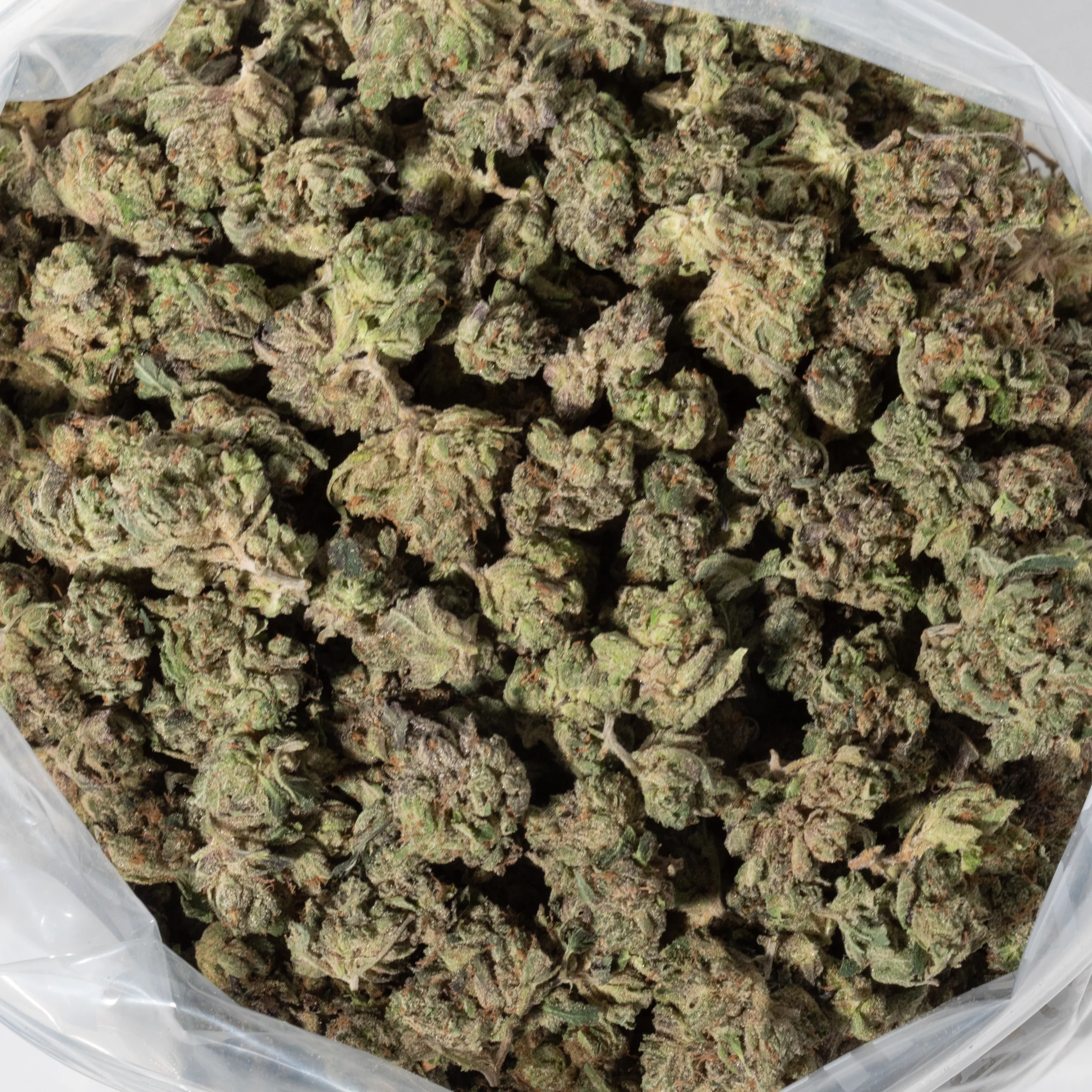 Blackberry Cream (AAAA Popcorn)