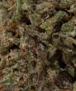 Blackberry Cream (AAAA Popcorn)