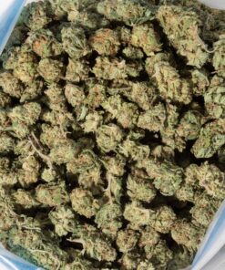 Passion Fruit Lemonade (AA/Popcorn)